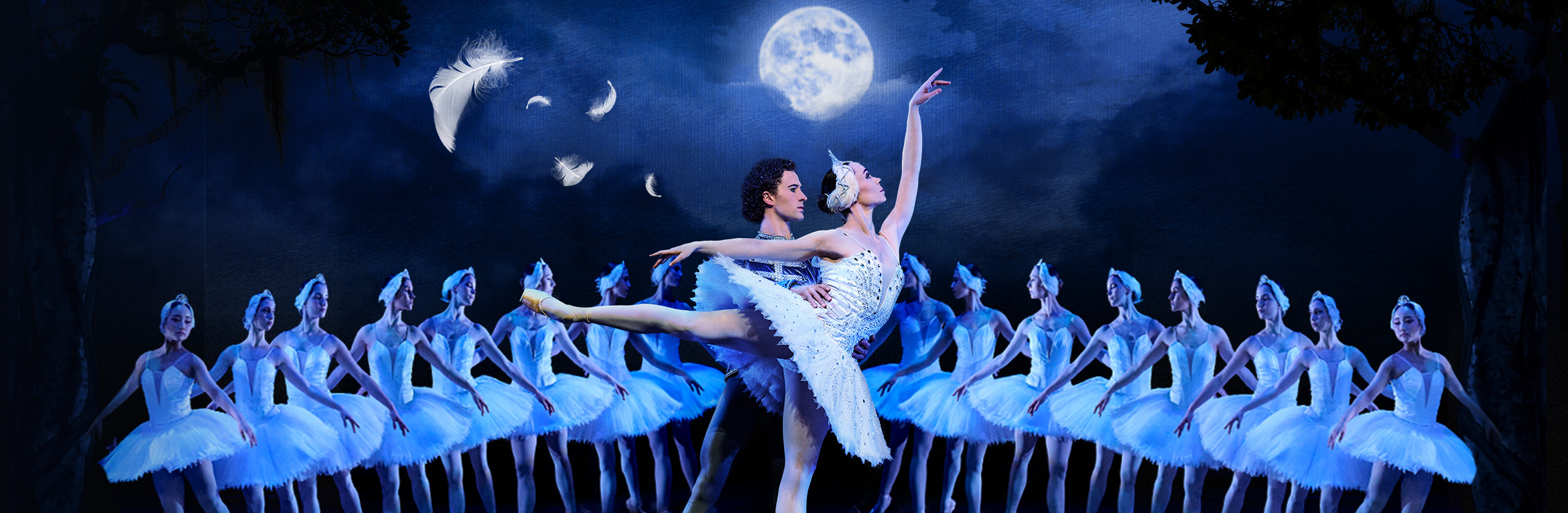 Swan Lake