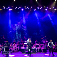 BEST OF THE BEE GEES 