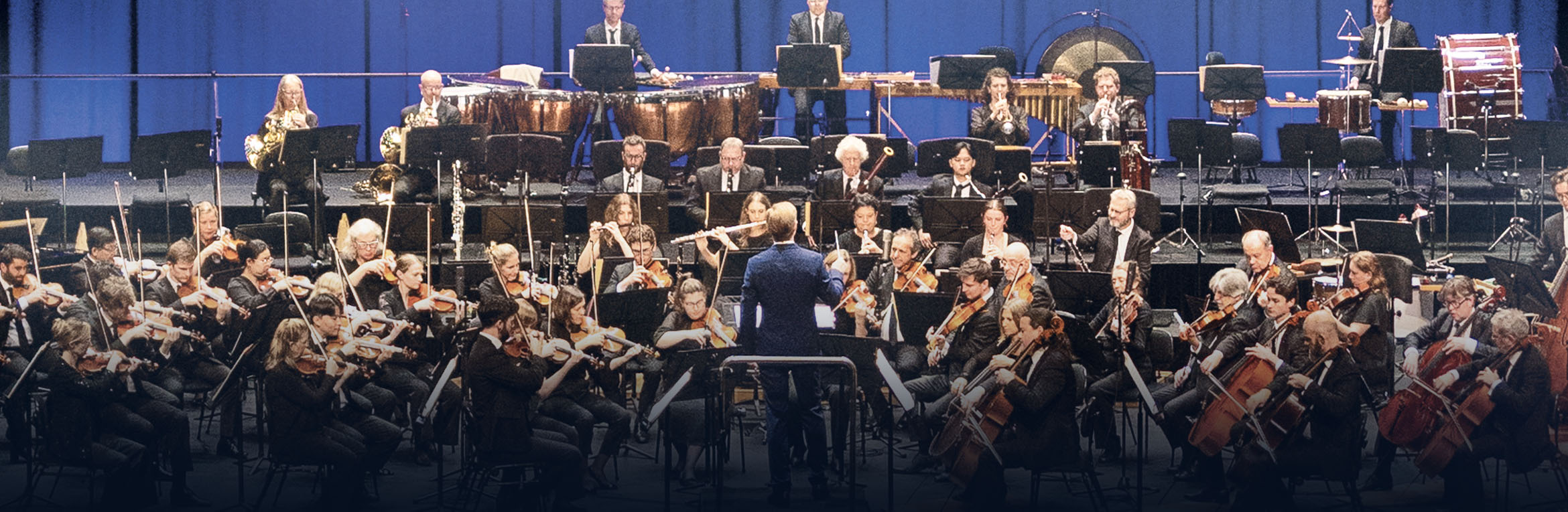 SSO Max Richter's Four Seasons